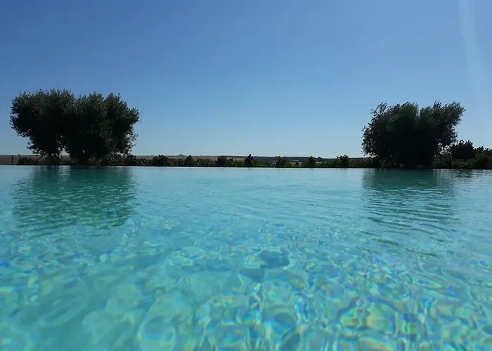 Terras - Agroturismo & Vinhos