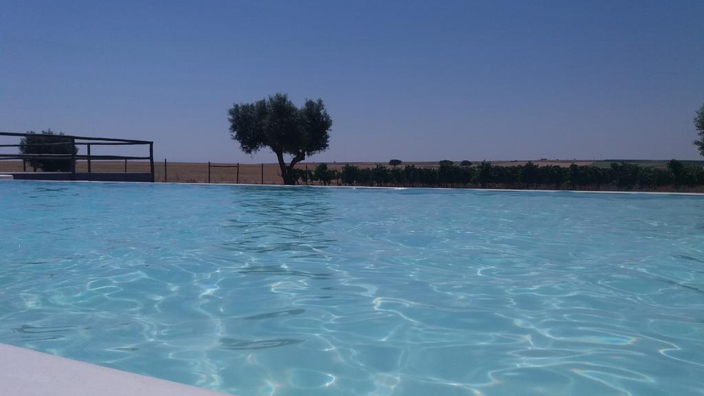 Séjour à la ferme Terras - & Vinhos