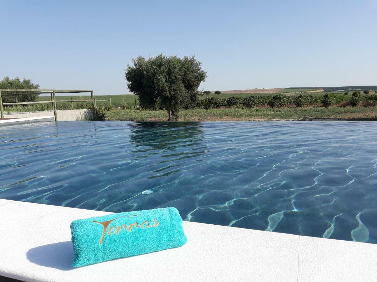 Terras - & Vinhos *