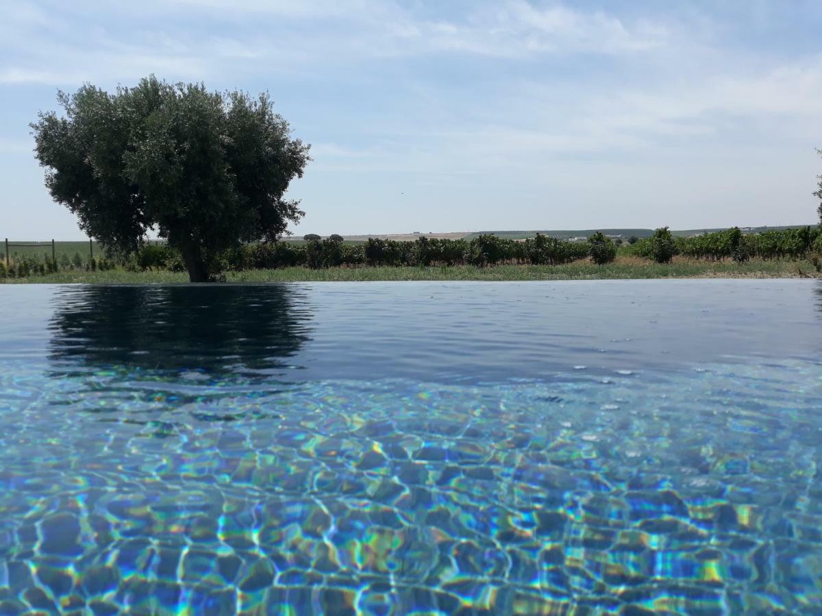 Terras - & Vinhos Séjour à la ferme